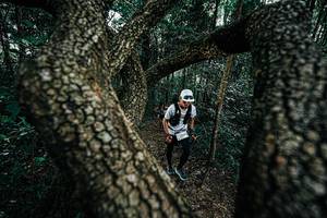 BIB: 
                            <button type="button" onclick="openModal(25392541)" class="btn btn-primary btn-sm float-right btn-popup" data-toggle="modal" data-target=".modal-high-quality">
                        <i class="fas fa-shopping-cart"></i> Add to Cart
                    </button>
                                            <button type="button" onclick="isThisMe(25392541, true)" class="btn btn-success btn-sm float-right btn-popup btn-isme hidden" data-toggle="tooltip" data-placement="bottom" title="นี่คือรูปของคุณใช่ไหม คลิกที่นี่เพื่อเอาเข้าอัลบั้ม">
                        <i class="fas fa-plus"></i> Add to album
                    </button>
                    <button type="button" onclick="isThisMe(25392541, false)" class="btn btn-warning btn-sm float-right btn-popup btn-isnotme hidden">
                        <i class="fas fa-ban"></i> Remove from album
                    </button>